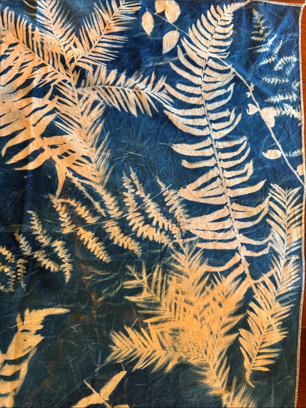 Blue Cyanotype Redwood Ecology cotton bandana